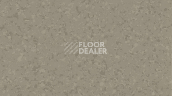 Линолеум Gerflor Mipolam Symbioz 6043 WOOD фото 1 | FLOORDEALER
